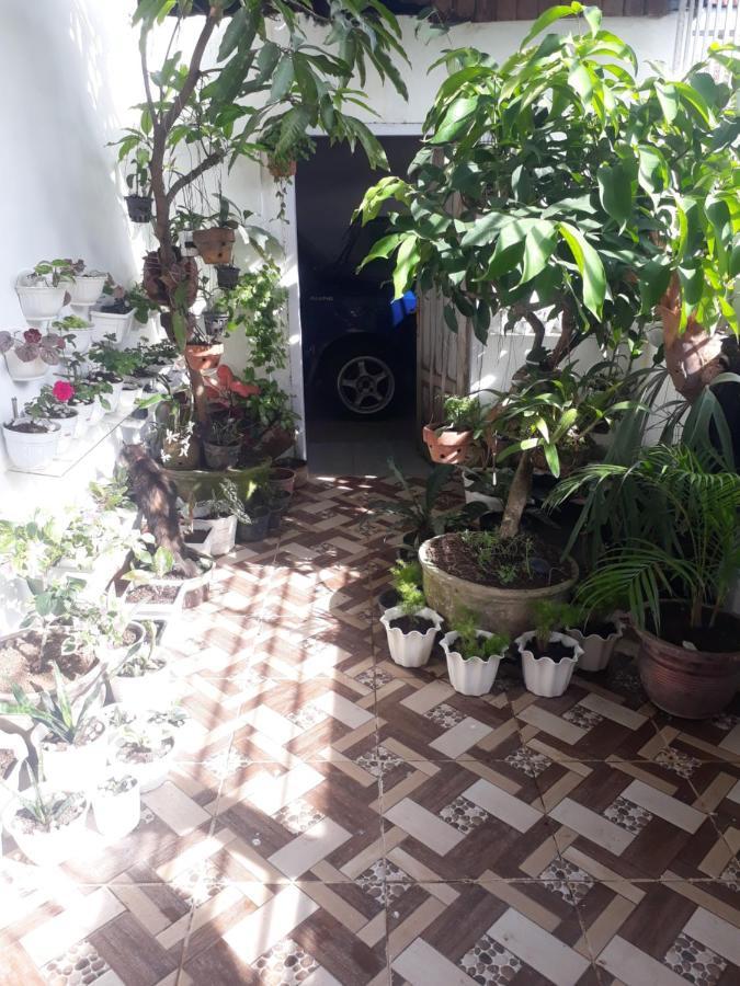 Bumimi Homestay Painan 外观 照片